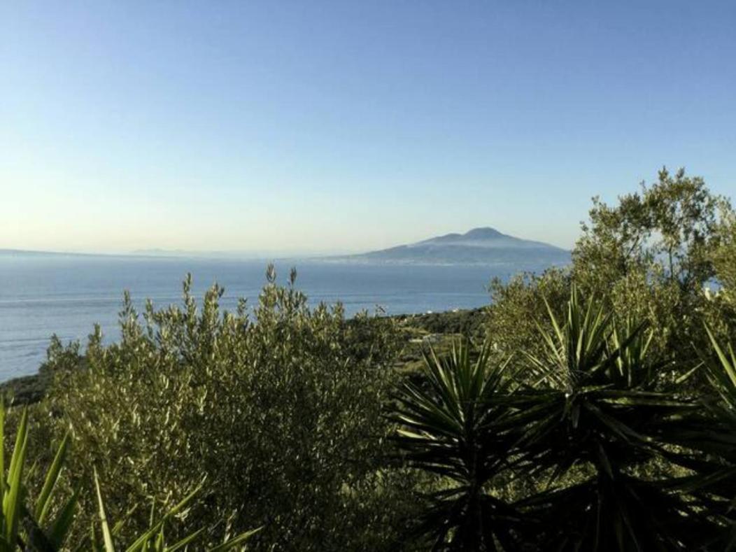 מסה לוברנסה Un Paradiso A Sorrento Con Piscina מראה חיצוני תמונה