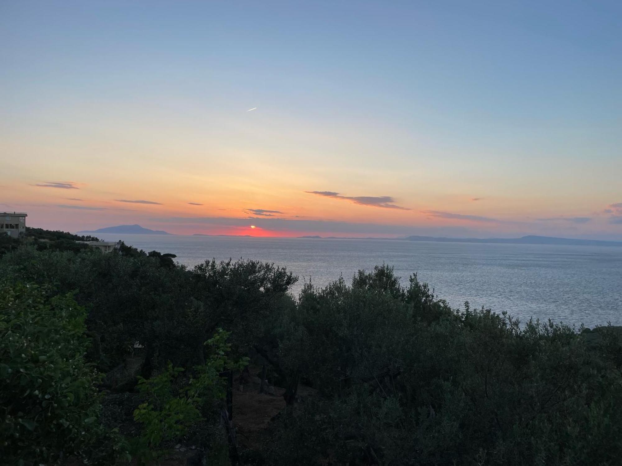 מסה לוברנסה Un Paradiso A Sorrento Con Piscina מראה חיצוני תמונה