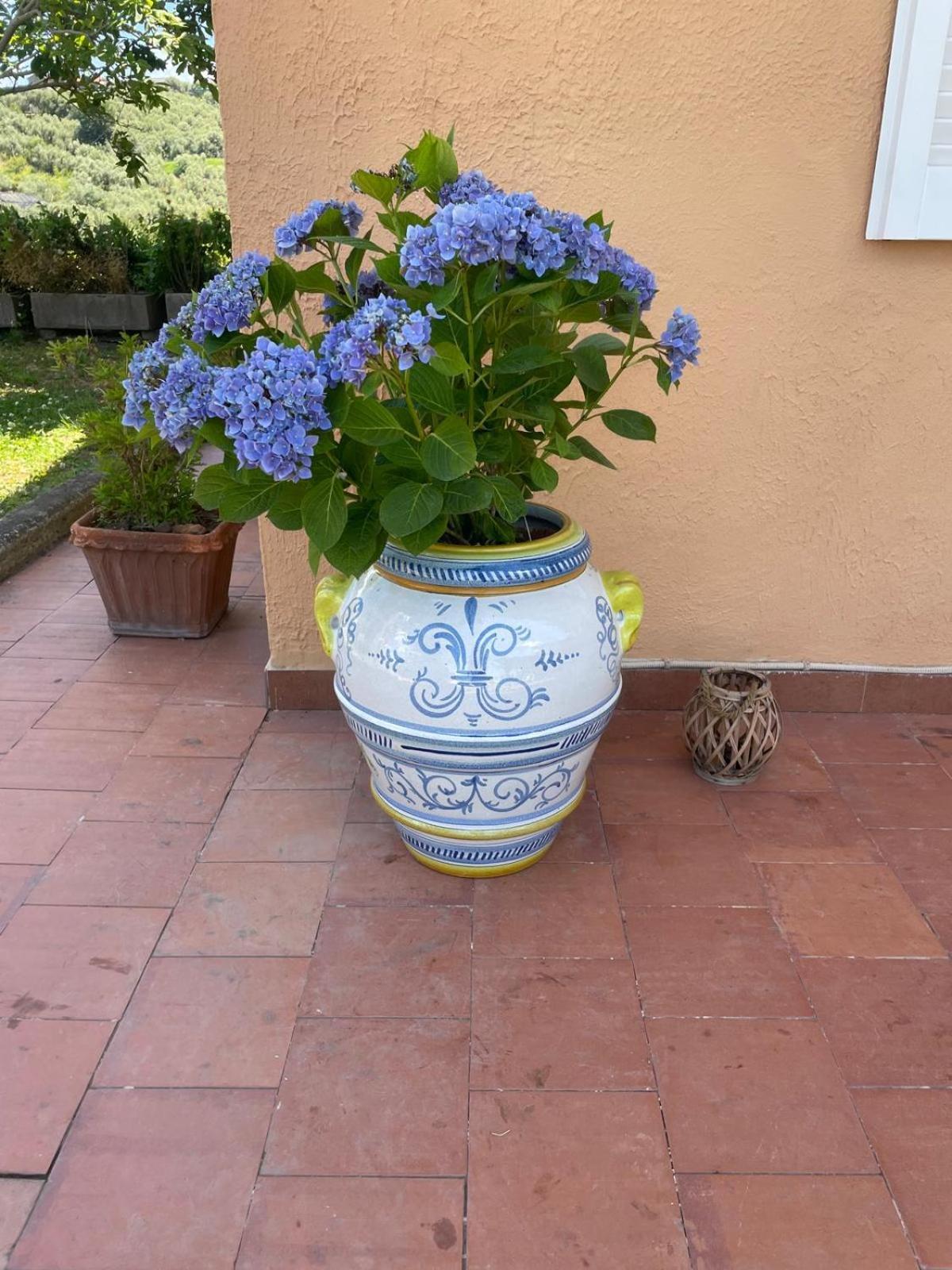 מסה לוברנסה Un Paradiso A Sorrento Con Piscina מראה חיצוני תמונה