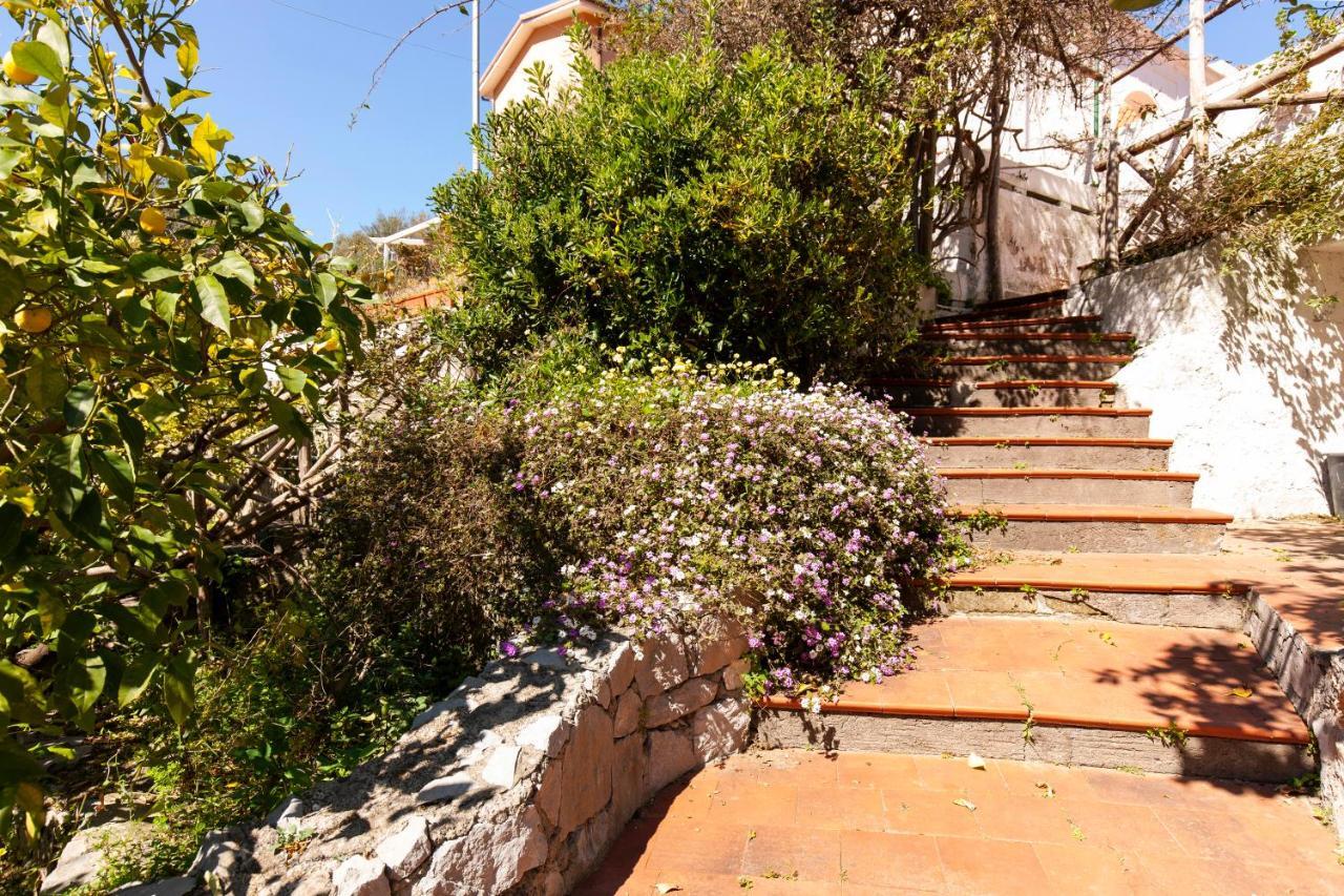 מסה לוברנסה Un Paradiso A Sorrento Con Piscina מראה חיצוני תמונה