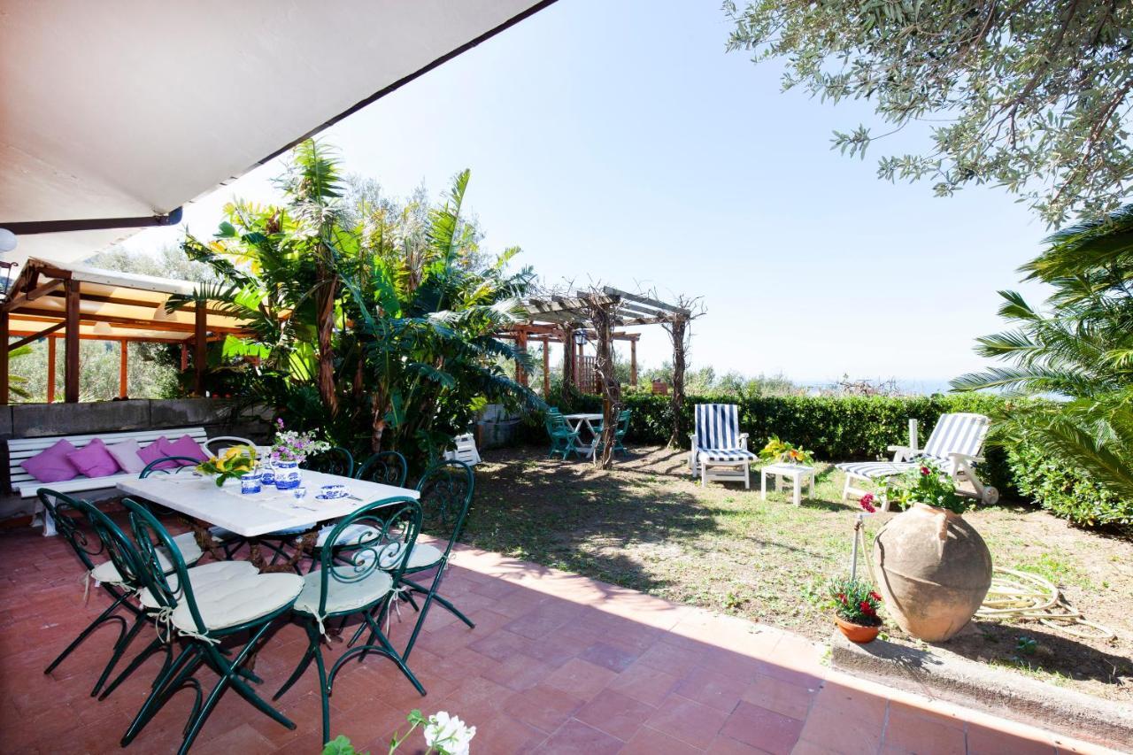 מסה לוברנסה Un Paradiso A Sorrento Con Piscina מראה חיצוני תמונה